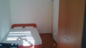Odličan apartman za više osoba u blizini grada